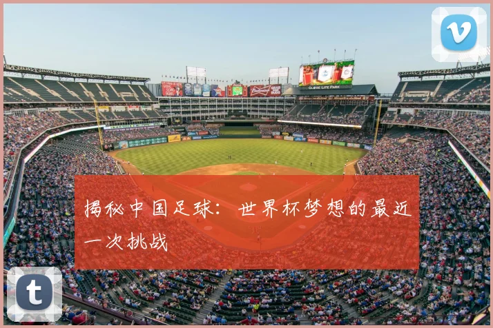 揭秘中国足球：世界杯梦想的最近一次挑战