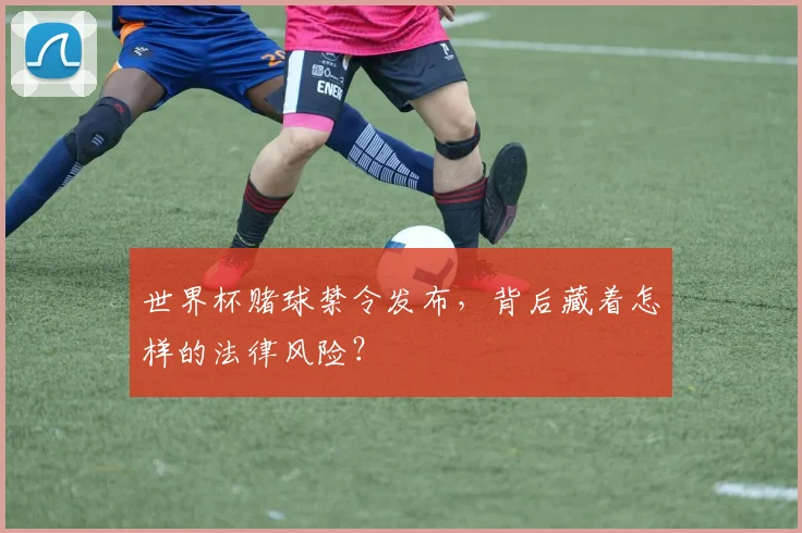 世界杯赌球禁令发布，背后藏着怎样的法律风险？