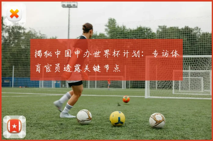 揭秘中国申办世界杯计划：专访体育官员透露关键节点