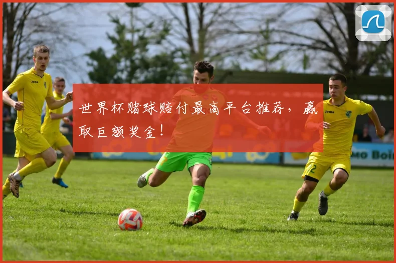 世界杯赌球赔付最高平台推荐，赢取巨额奖金！