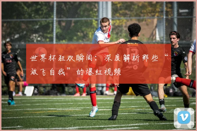 世界杯狂欢瞬间：深度解析那些“放飞自我”的爆红视频
