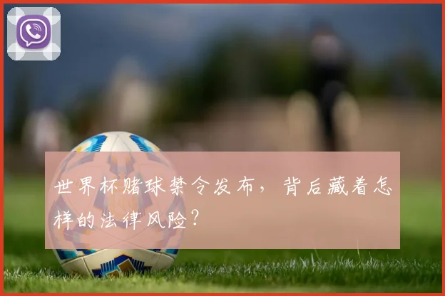 世界杯赌球禁令发布，背后藏着怎样的法律风险？